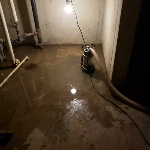 Basement Flood Clean Up in Boise City, ID