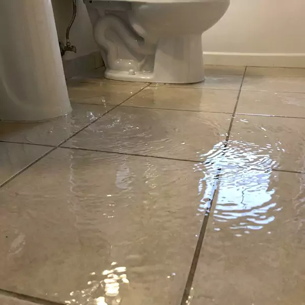 Expert Flooded Bathroom Restoration in Boise City, ID 