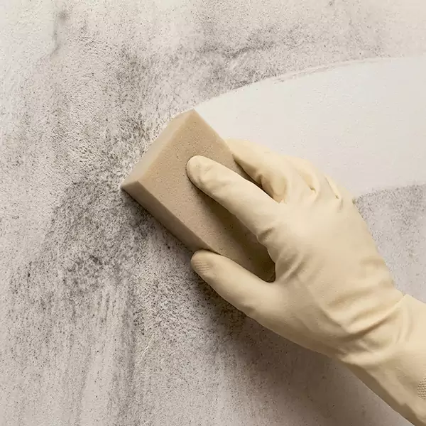 Smoke Cleaning in Boise City, ID 