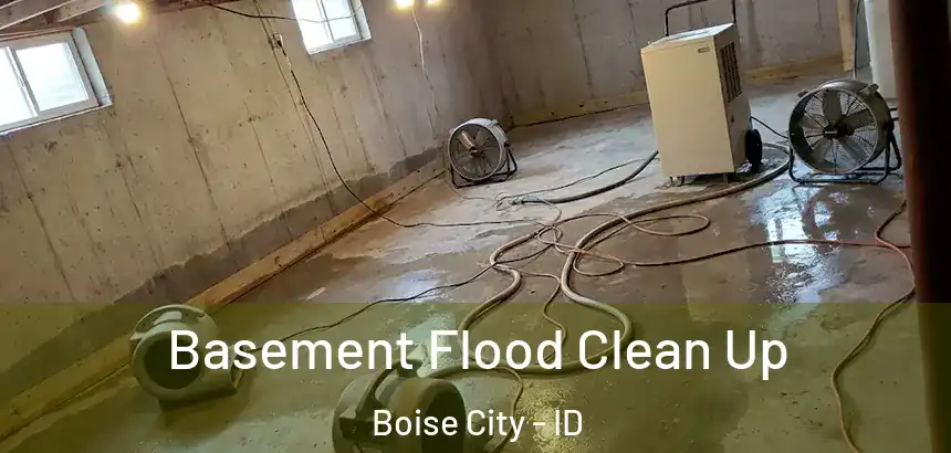 Basement Flood Clean Up Boise City - ID