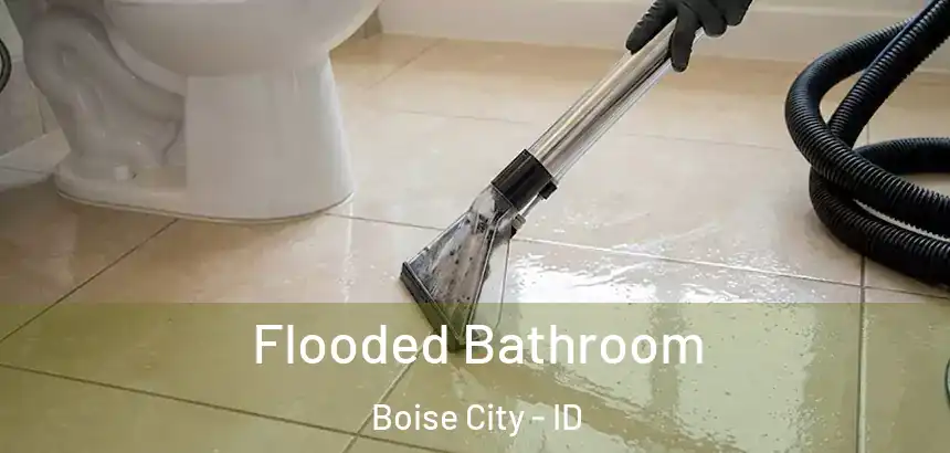  Flooded Bathroom Boise City - ID