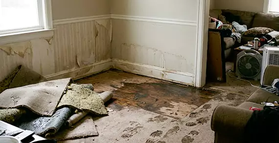 Why Choose Boise Water Restoration Pro For Water Damage Restoration Services in Boise City, ID?