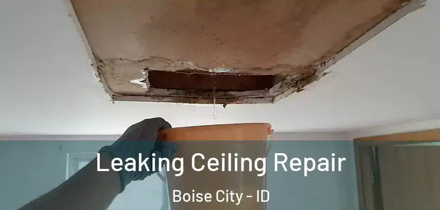  Leaking Ceiling Repair Boise City - ID