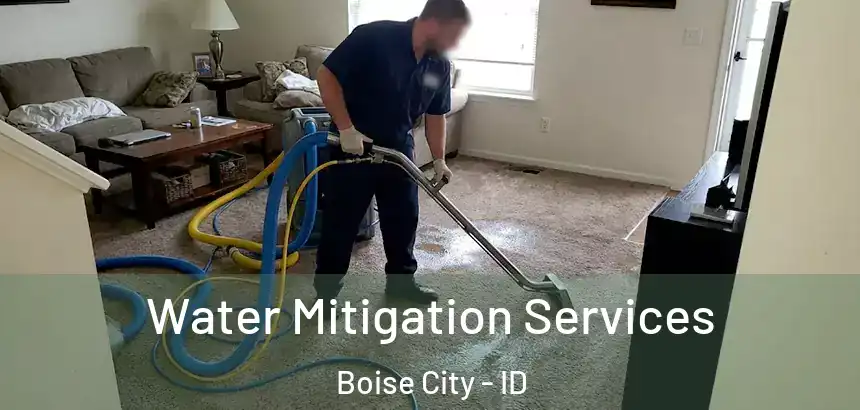 Water Mitigation Services Boise City - ID